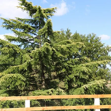 Domaine O Cedre Bleu 別荘